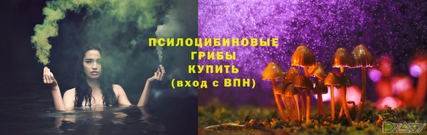 соль курить ск Богородск