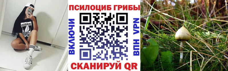 Псилоцибиновые грибы GOLDEN TEACHER Верещагино